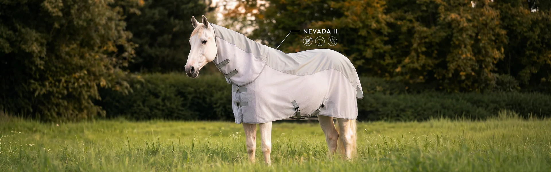 Passione Equestre Senza Confini